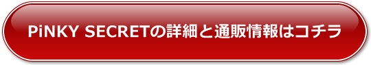 PiNKY SECRET�̏ڍׂƒʔ̏��