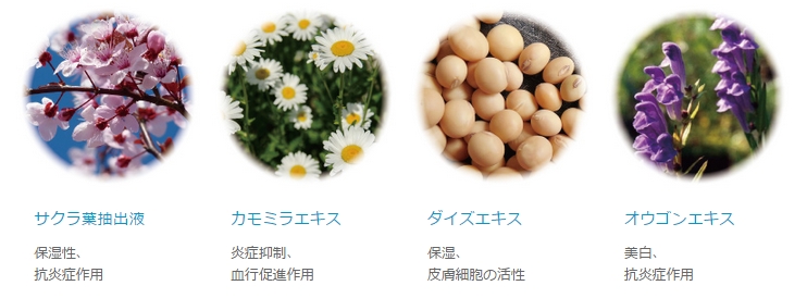 �f���P�[�g�]�[���Ɠ���̍�����