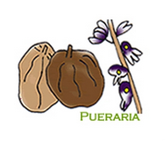 �Z�N�V�����R�X��